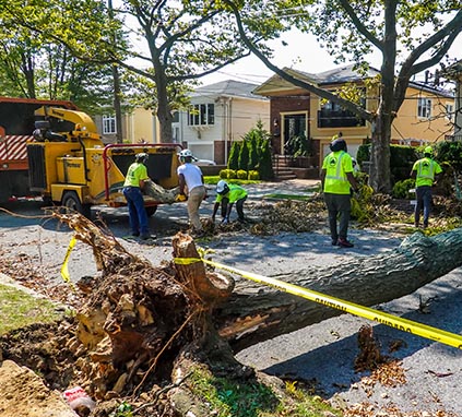 Debris Removal